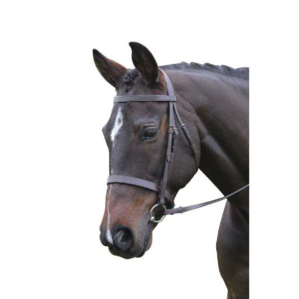 Kincade Flat Cavesson Bridle - BROWN