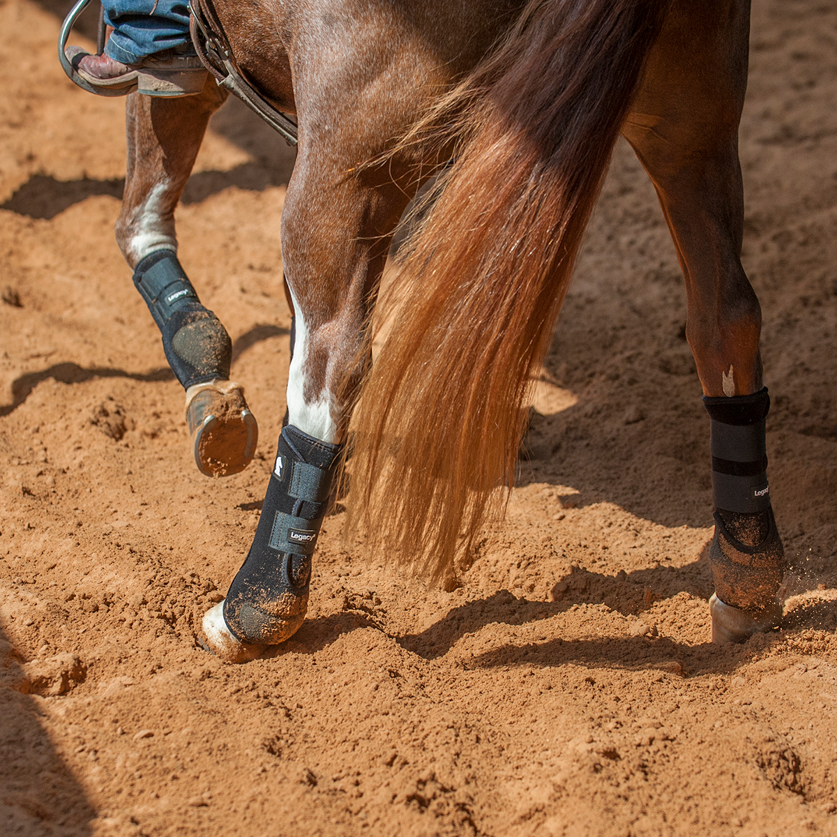 Classic equine 2025 hind boots