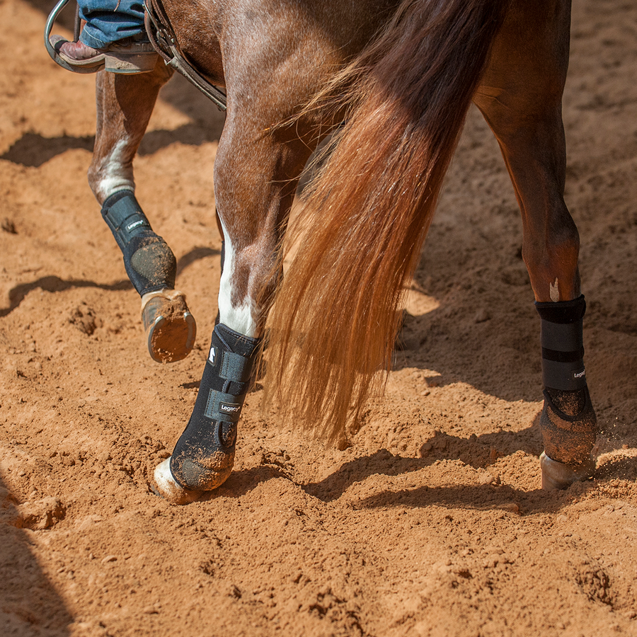 Classic Equine Legacy2 HIND Protective Boots