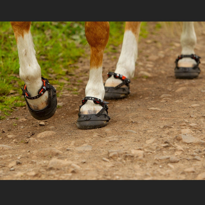 Hoof Boots for Horses - Gone RIDING