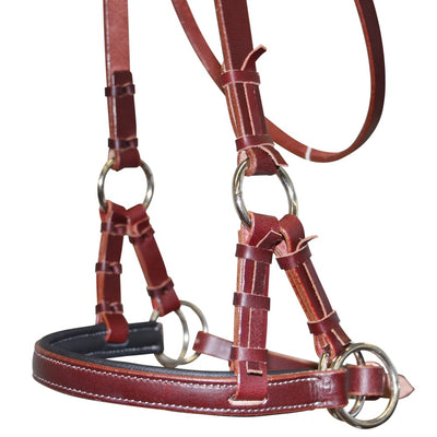 Fort Worth Padded Leather Nose Side Pull Headstall - Latigo Leather