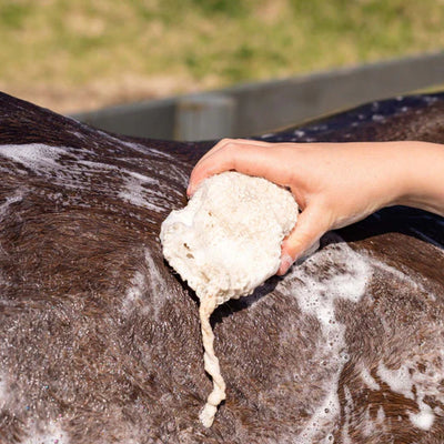 Hairy Pony Original Shampoo Bar - Eco Friendly Anti-Bacterial