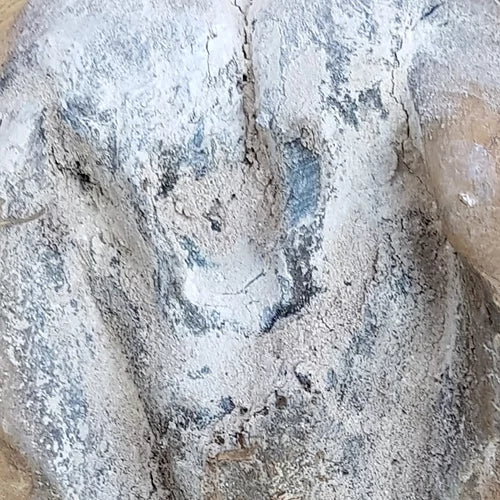 Hoof Powder 200g - by Bare Equine Australia