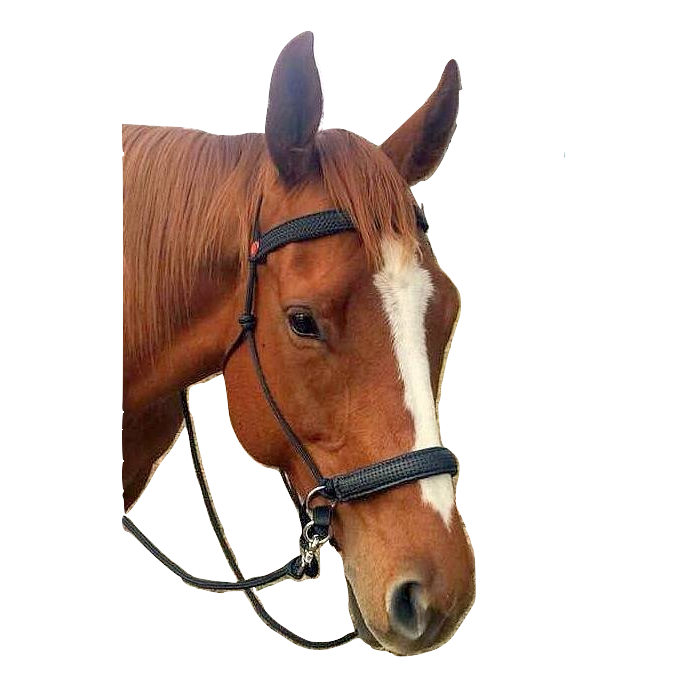 LightRider Rope Performer Bridle - BLACK