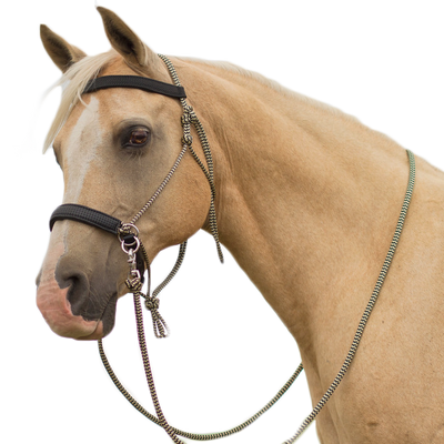 LightRider Rope Performer Bridle - Black/Gold