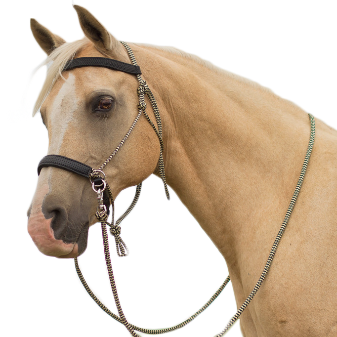LightRider Rope Performer Bridle - Black/Gold