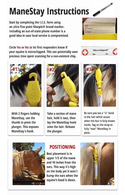 ManeStay - Equine Emergency ID Tag