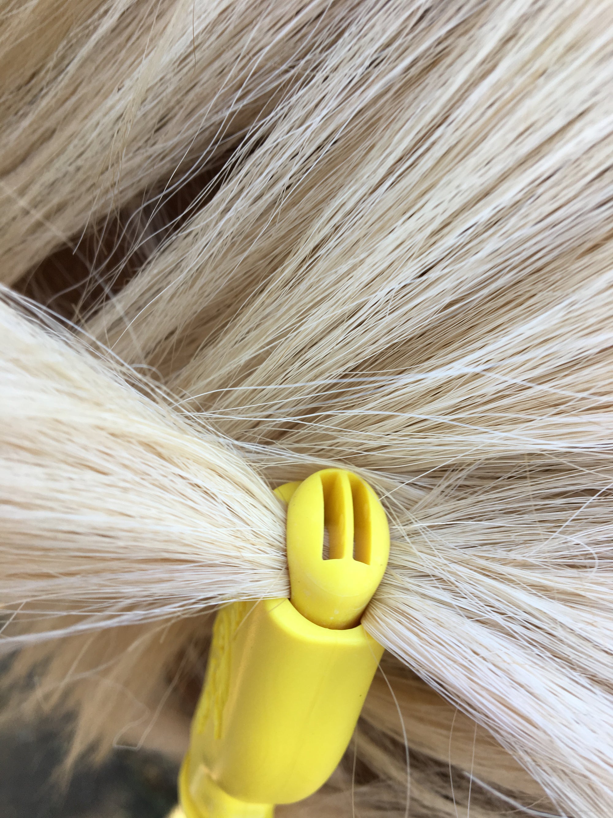 ManeStay - Equine Emergency ID Tag