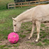 The Hay Play - Spherical Shaped slow forage feeder