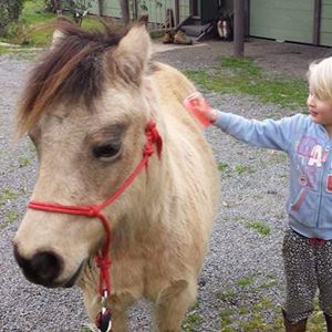 Nungar Knots Headstall - 6mm Yachting Rope, SOLID COLOURS