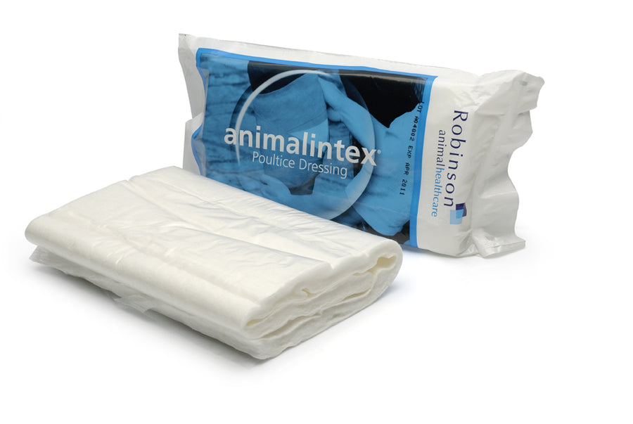 Animalintex Poultice Single