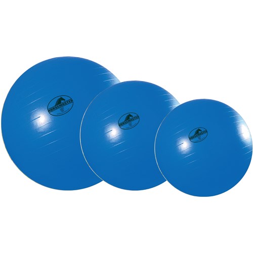 Mega Horse Ball & Cover Set - Large 40 inch