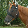 Cashel Quiet Ride Fly Mask Long Nose