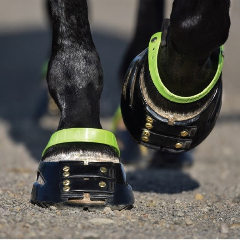 Scoot Boot Front Strap Pack 3 Pairs in PKT Gone RIDING