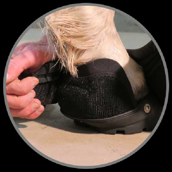 Easyboot Back Country 2016