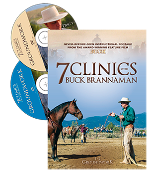 7 Clinics DVD3