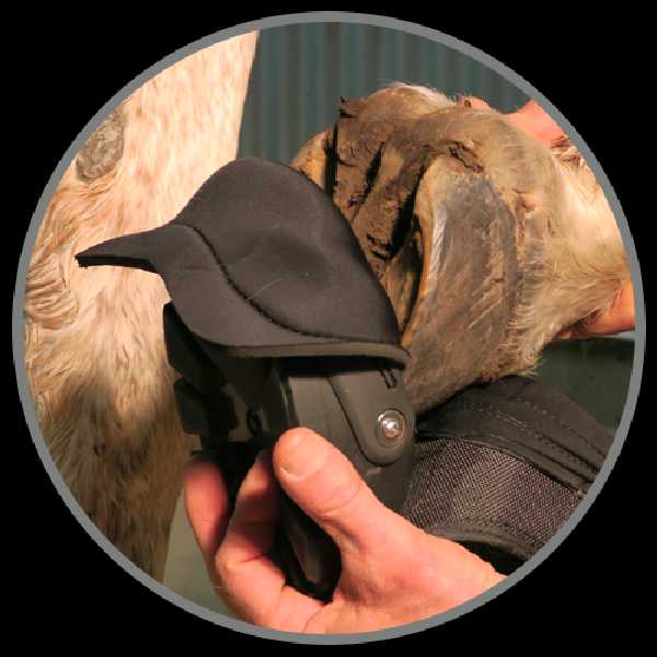 Easyboot Back Country 2016