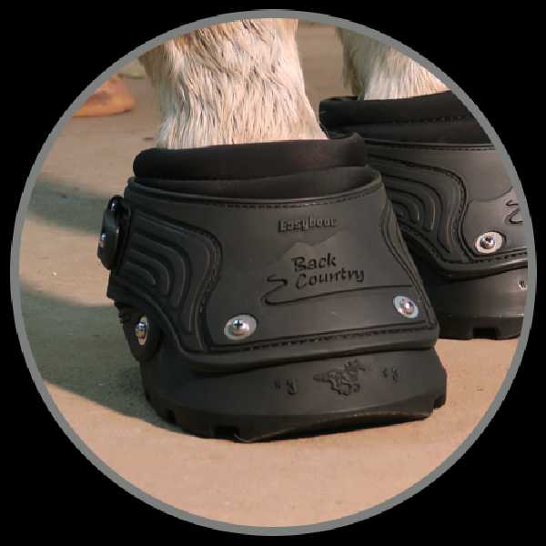 Easyboot Back Country 2016