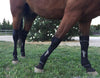 HIDEZ Compression Socks FRONTS - for Horses