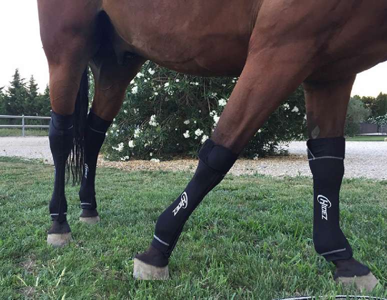 Horse discount compression boots
