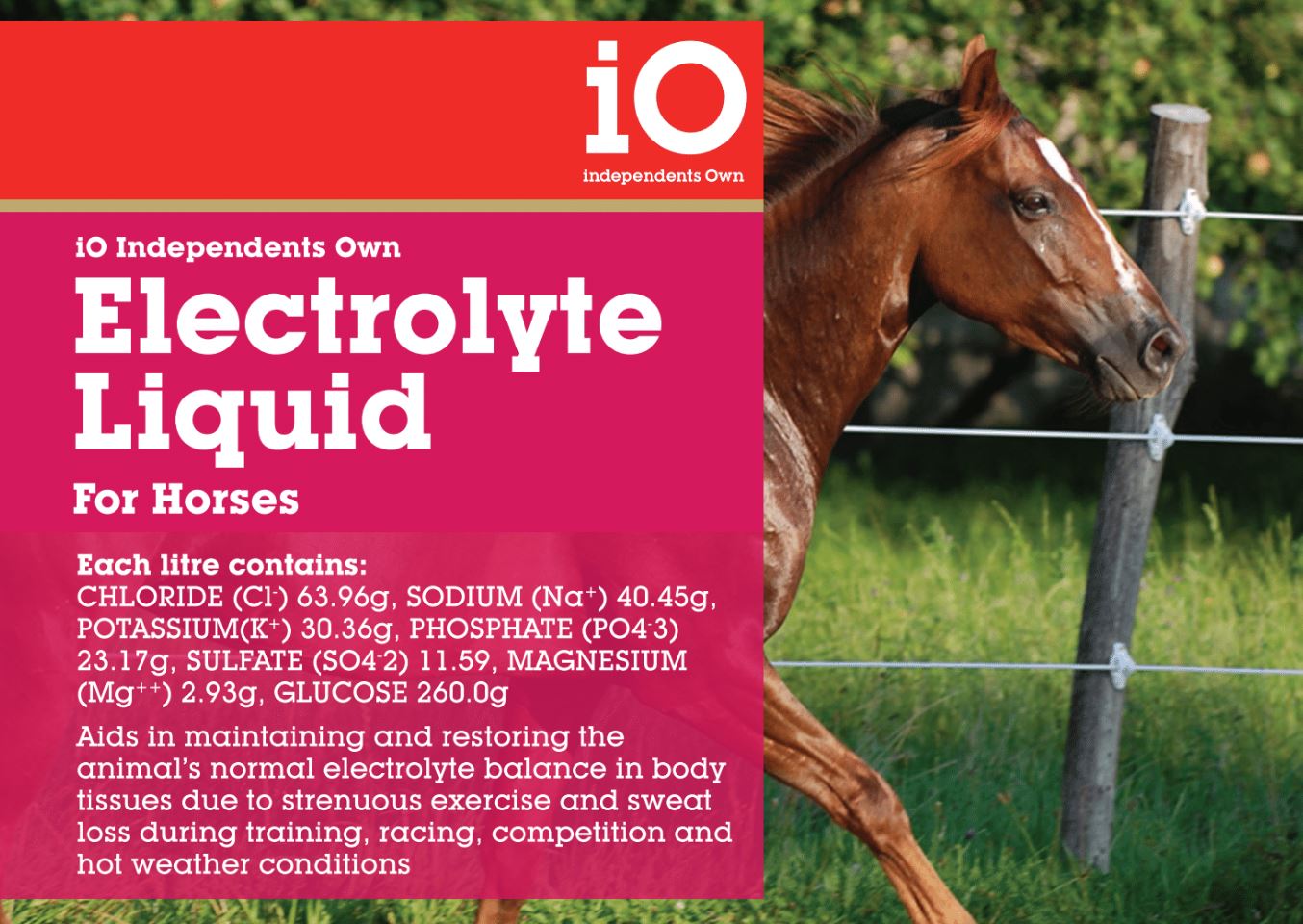IO Electrolyte Liquid For Horses 1lt