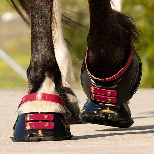 Gone Ringing Hoof Boots for Horses - Gone RIDING