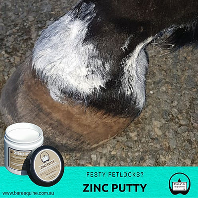 Zinc Putty 300g - by Bare Equine Australia